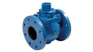 Valve manufacturers in Firozabad