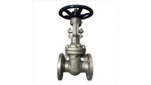 Valve supplier in Angul
