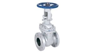 Valve supplier in Gwalior